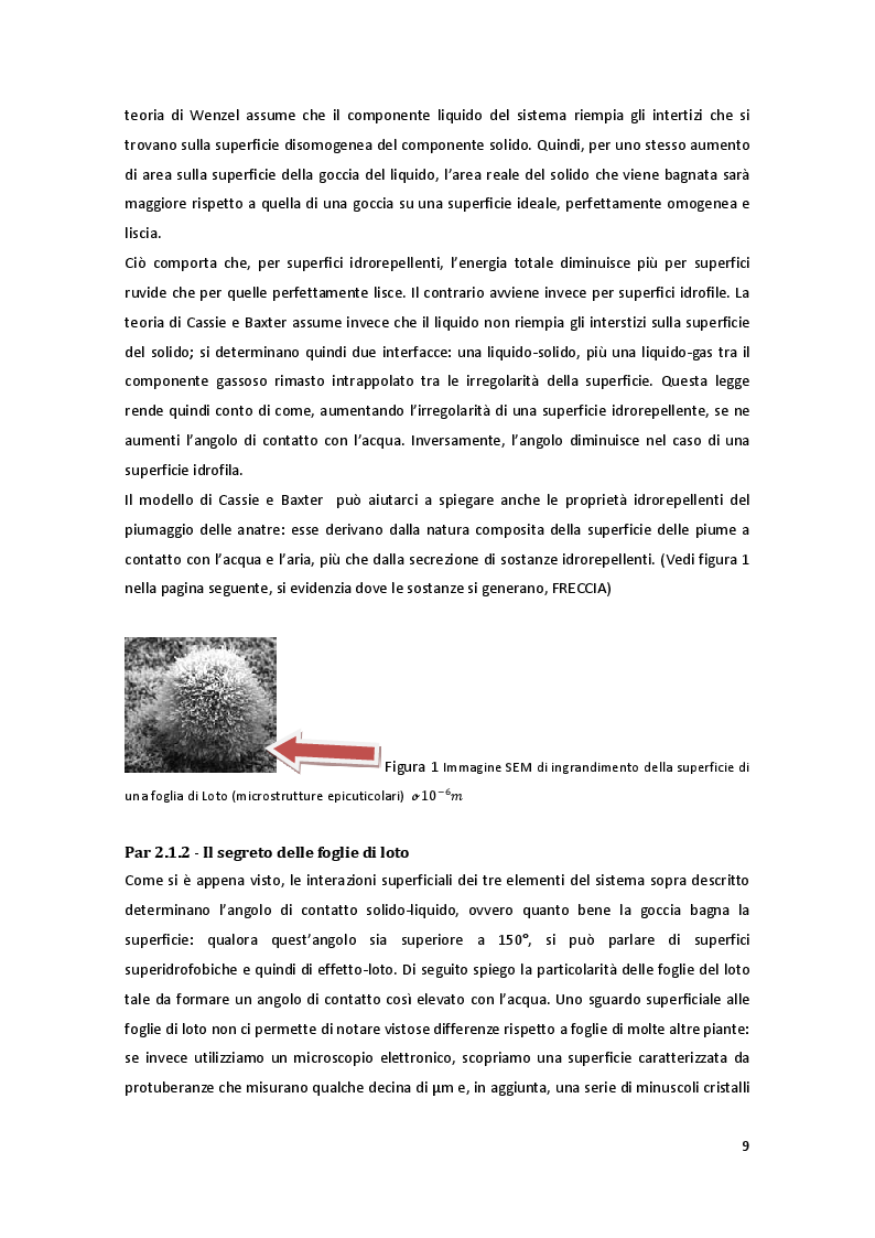 Estratto dalla tesi: Mitigazione dell'accumulo di polvere ed inquinanti su pannelli solari e superfici architettoniche, con l'uso di superfici funzionali nanostrutturate