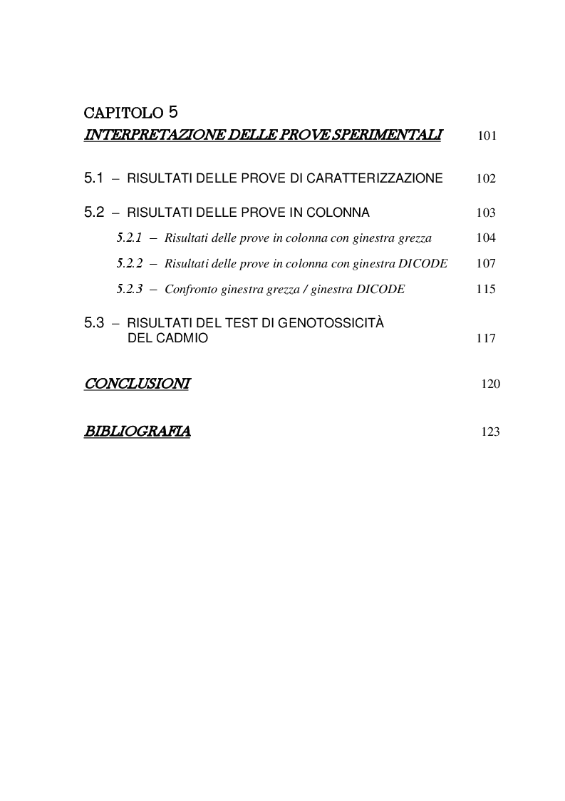 Indice della tesi: Contaminazione da metalli pesanti: Verifica dell'efficacia di PRB in fibra di ginestra e valutazione degli effetti sul DNA, Pagina 4