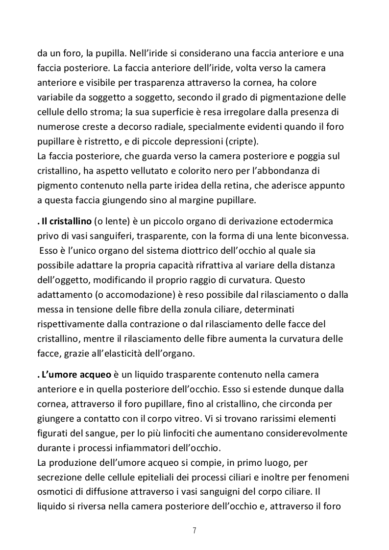 Estratto dalla tesi: Prospettive terapeutiche per il trattamento delle patologie neurodegenerative della retina