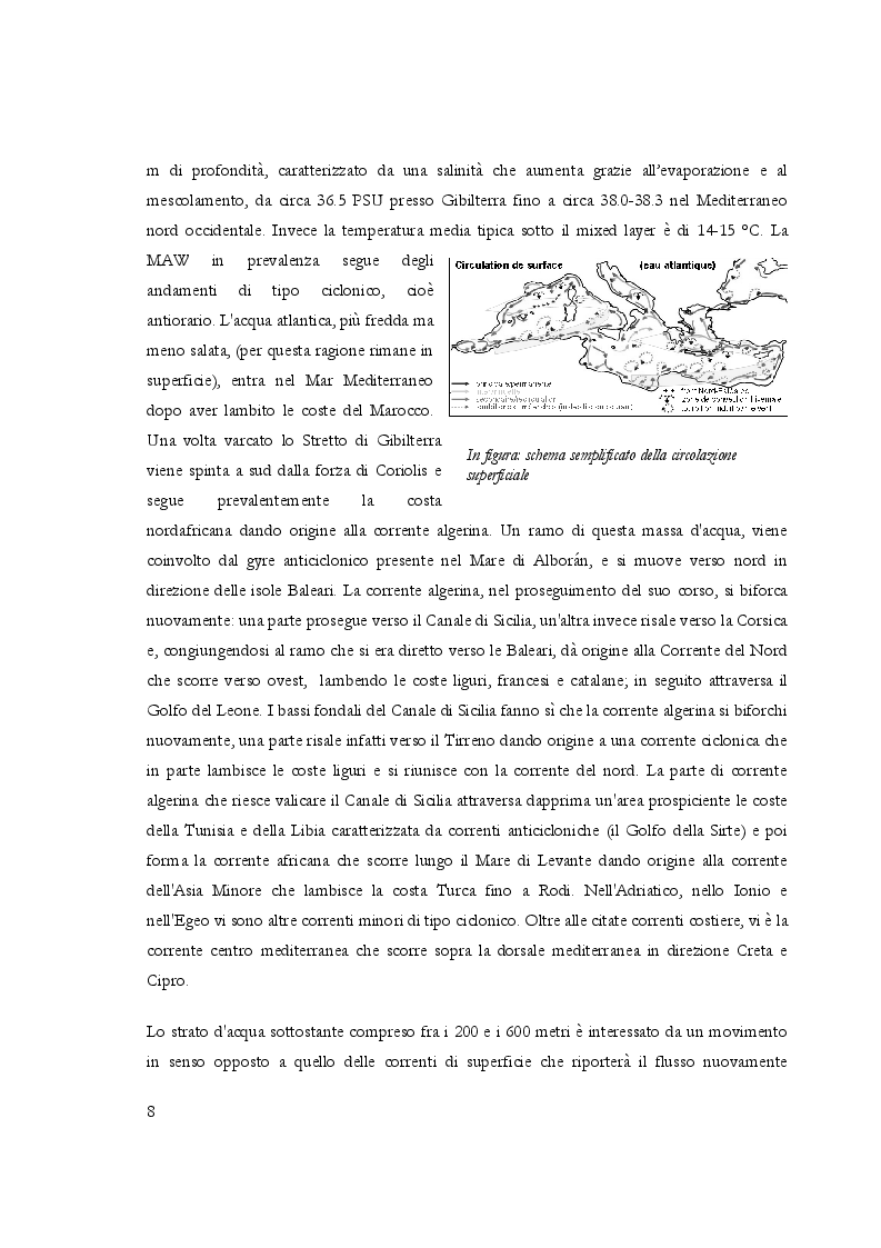 Estratto dalla tesi: Gli effetti dell’“Eastern Mediterranean Transient” nel Mediterraneo Occidentale