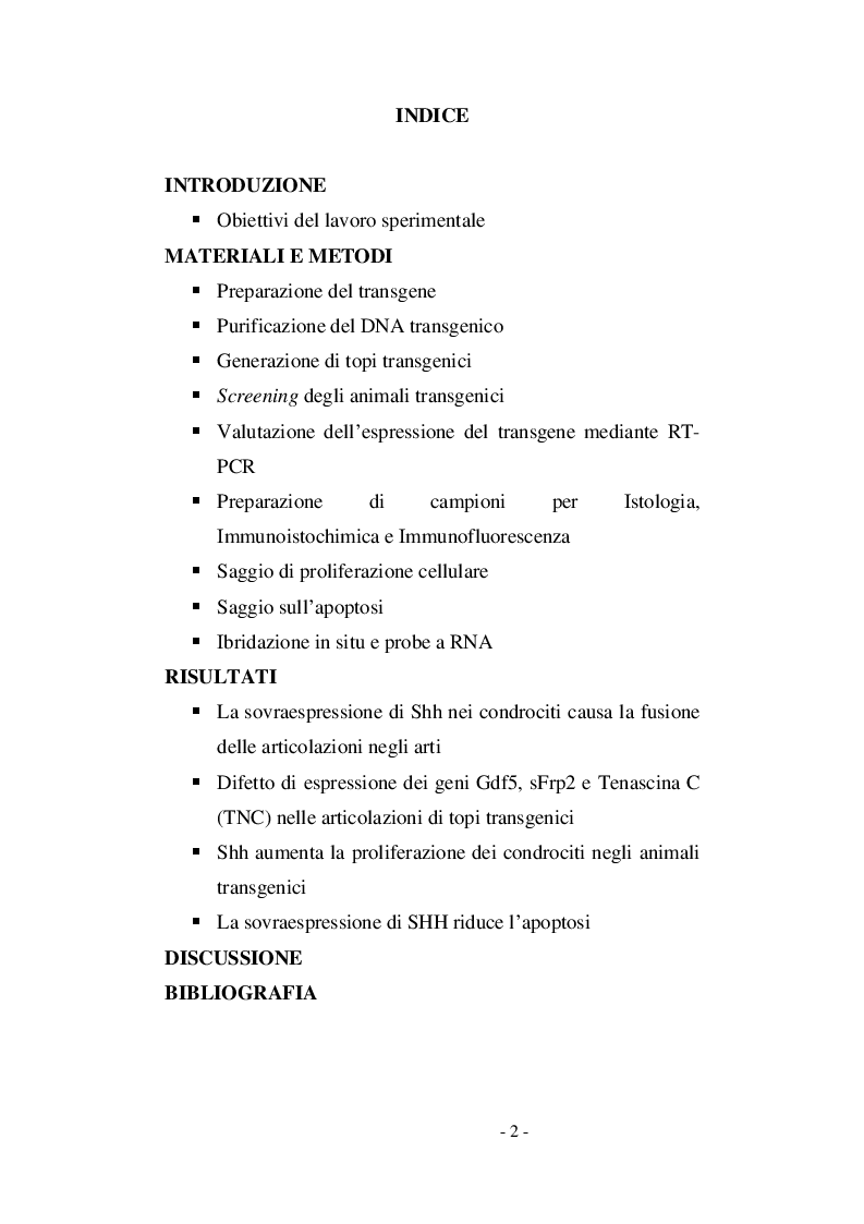 Indice della tesi: Sovraespressione di Sonic Hedgehog in topi transgenici: influenza della proteina sull'apoptosi e sulla proliferazione cellulare durante lo sviluppo degli arti, Pagina 1