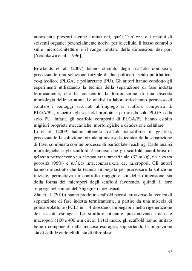 Estratto dalla tesi: Progettazione di un impianto di elettrospinning assistito da fluidi supercritici