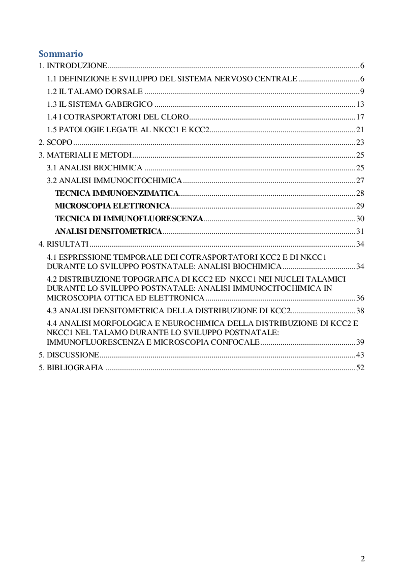 Indice della tesi: Studio dell'espressione dei trasportatori kcc2 e nkcc1 durante lo sviluppo nel talamo murino, Pagina 1