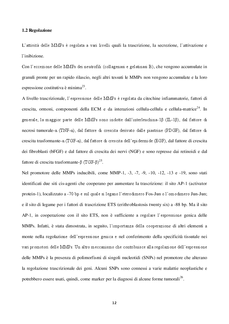 Estratto dalla tesi: Ruolo controverso dell'EDTA sull'attività gelatinolitica delle MMP-2 e MMP-9