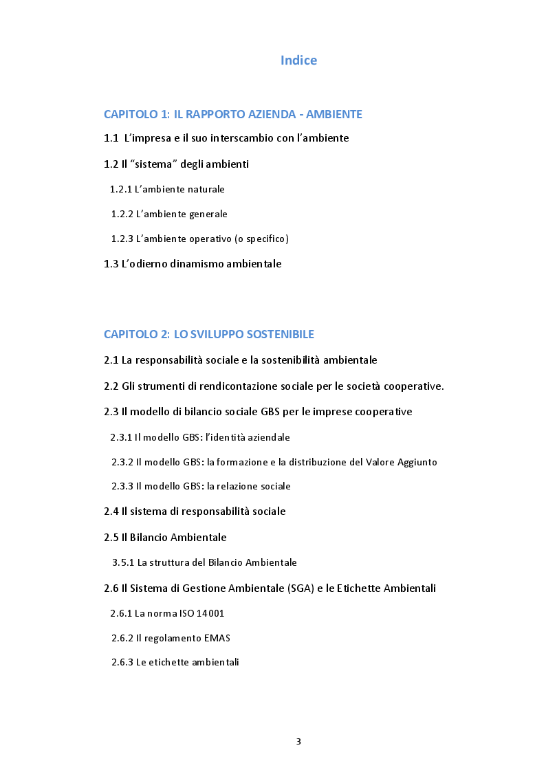 Indice della tesi: L'essenziale correlazione tra Azienda e Ambiente, Pagina 1