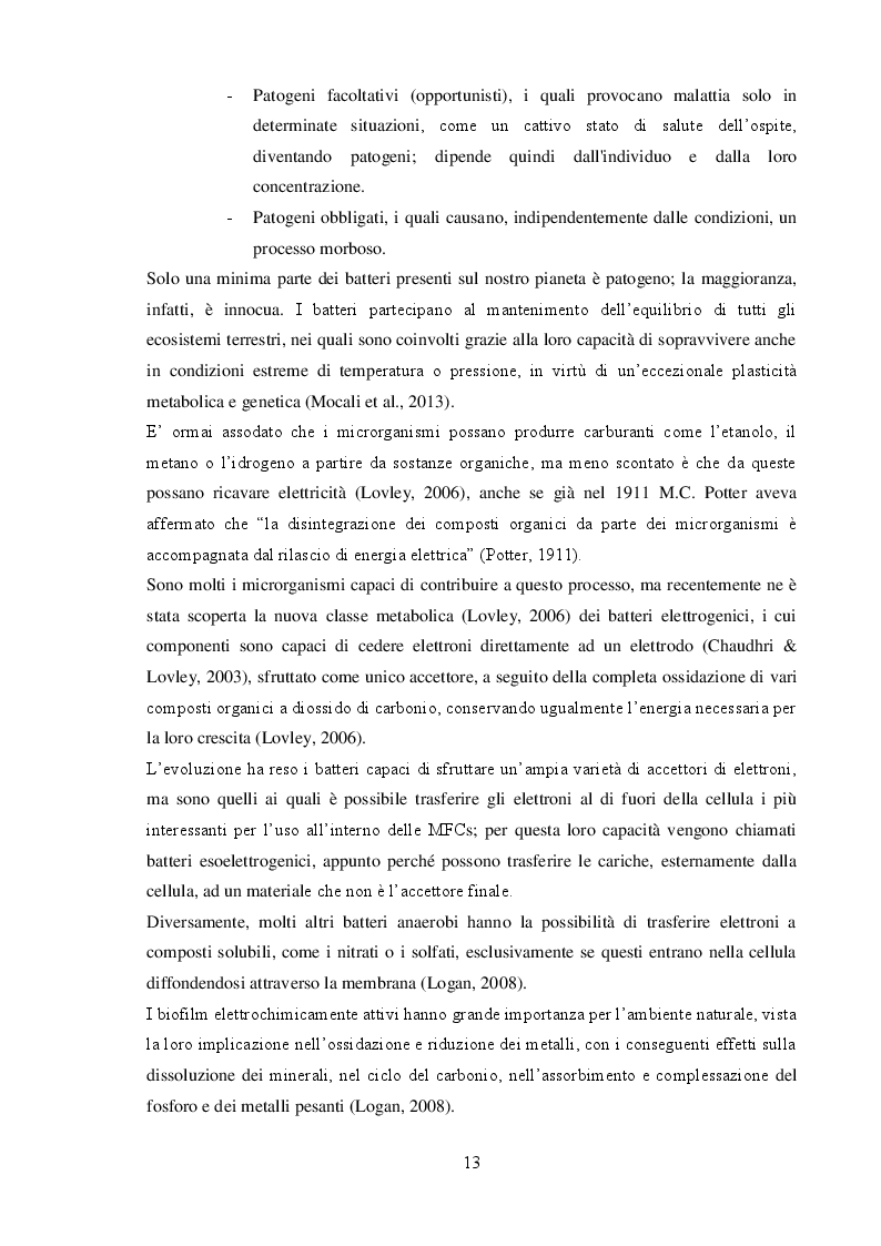 Estratto dalla tesi: Ottimizzazione della metodica RT-qPCR applicata allo studio delle Microbial Fuel Cells