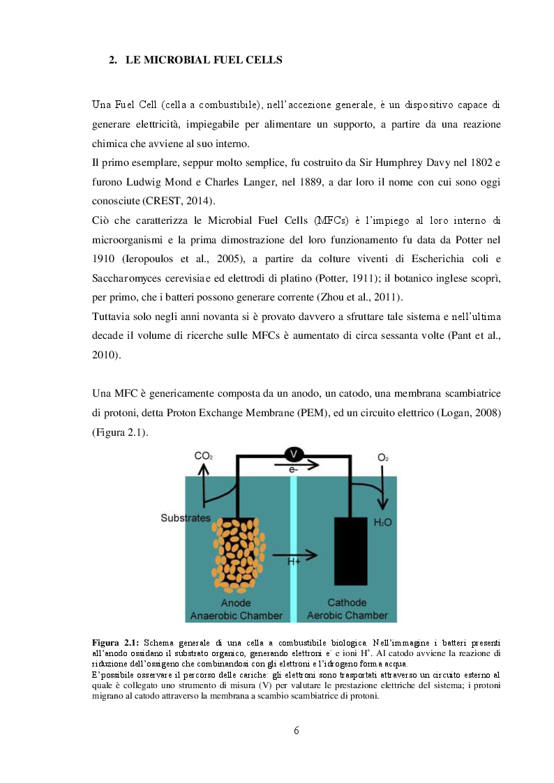 Anteprima della tesi: Ottimizzazione della metodica RT-qPCR applicata allo studio delle Microbial Fuel Cells, Pagina 5