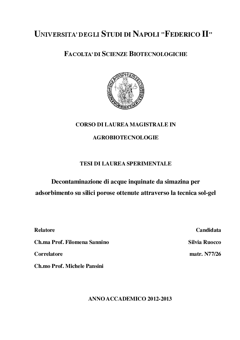 Anteprima della tesi: Decontaminazione di acque inquinate da simazina per adsorbimento su silici porose ottenute attraverso la tecnica sol-gel, Pagina 1