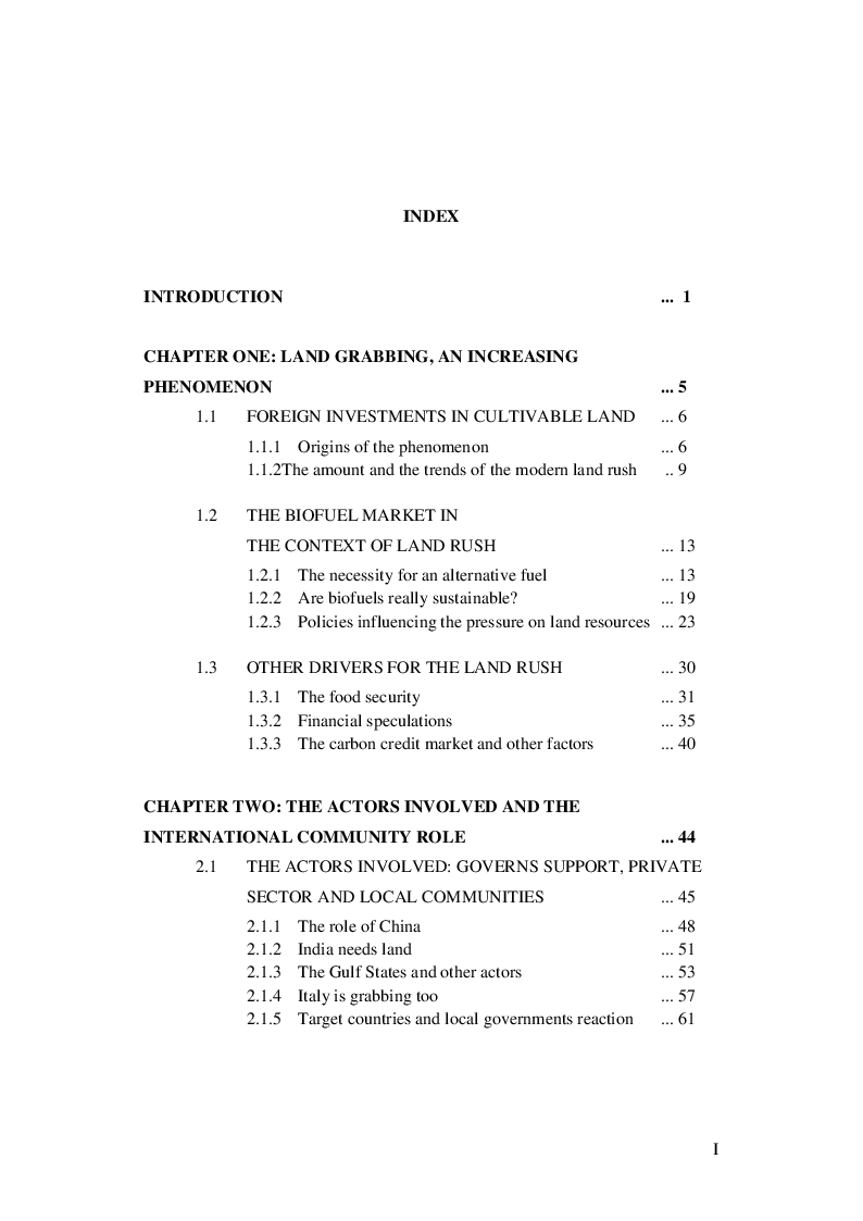 Indice della tesi: The International Land Market: Development Opportunity or Neo-Colonialism?, Pagina 1