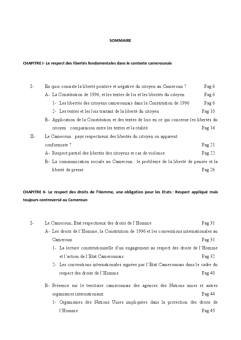 Indice della tesi: Libertés, Droits de l'Homme et Democratie au Cameroun, Pagina 1