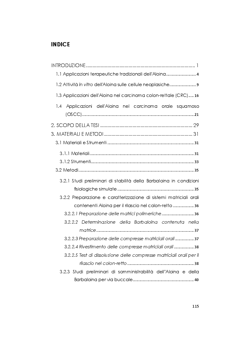 Indice della tesi: Progettazione, realizzazione e caratterizzazione di sistemi terapeutici non convenzionali per la somministrazione di Aloina, Pagina 1