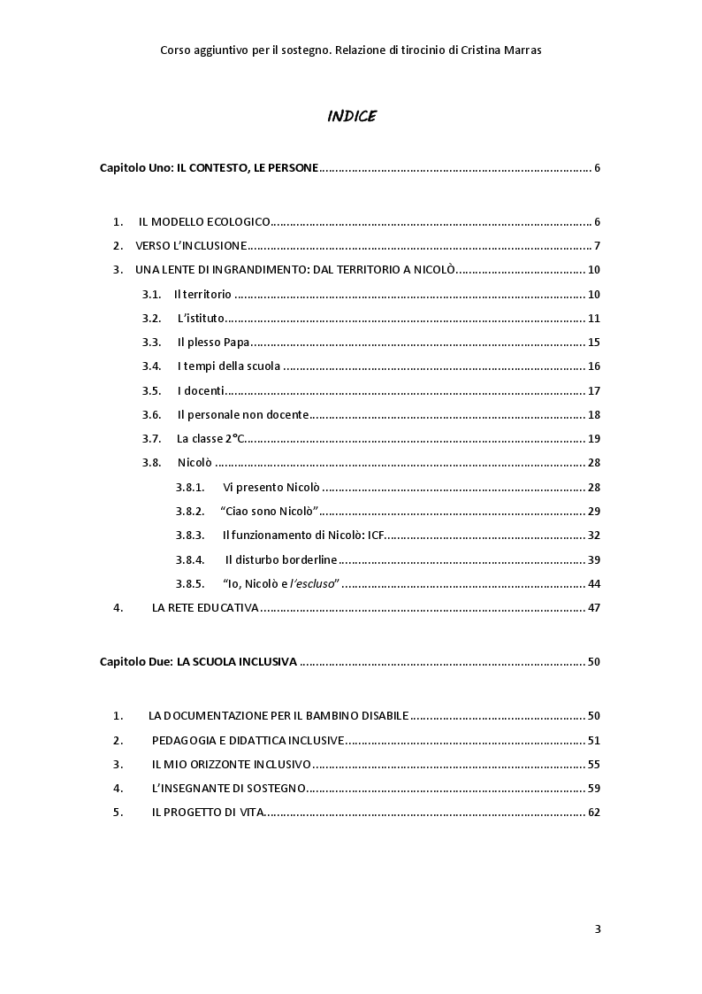 Indice della tesi: API, PREZIOSE COLLABORATRICI - Un percorso di scoperta della società delle api e del valore di ognuno nella comunità della 2^C, Pagina 1
