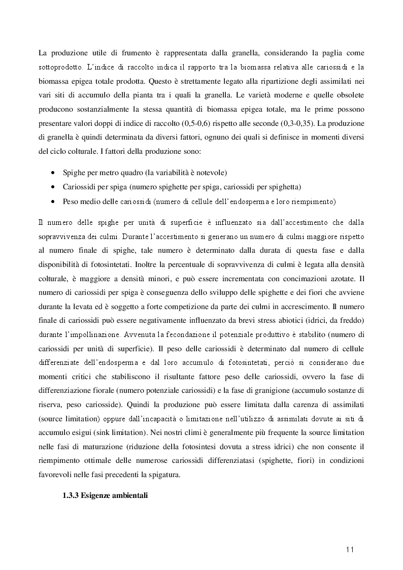 Estratto dalla tesi: Effetti dell'avvicendamento colturale e delle fertilizzazioni organiche in frumento biologico
