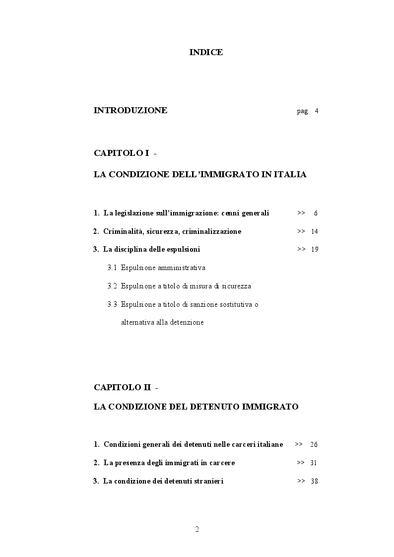 Indice della tesi: La condizione dei detenuti immigrati e le loro prospettive a fine pena, Pagina 1
