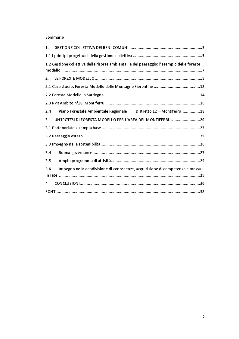 Indice della tesi: Tutela ambientale e gestione collettiva: l’esempio delle Foreste Modello, Pagina 1