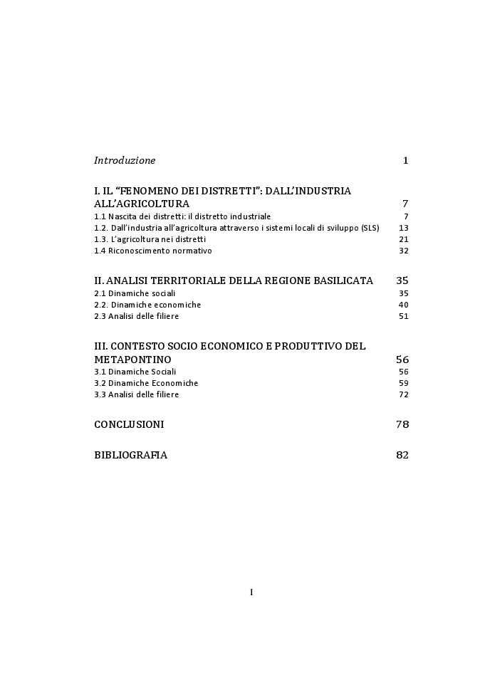 Indice della tesi: Il distretto agroalimentare del metapontino nel contesto economico regionale, Pagina 1