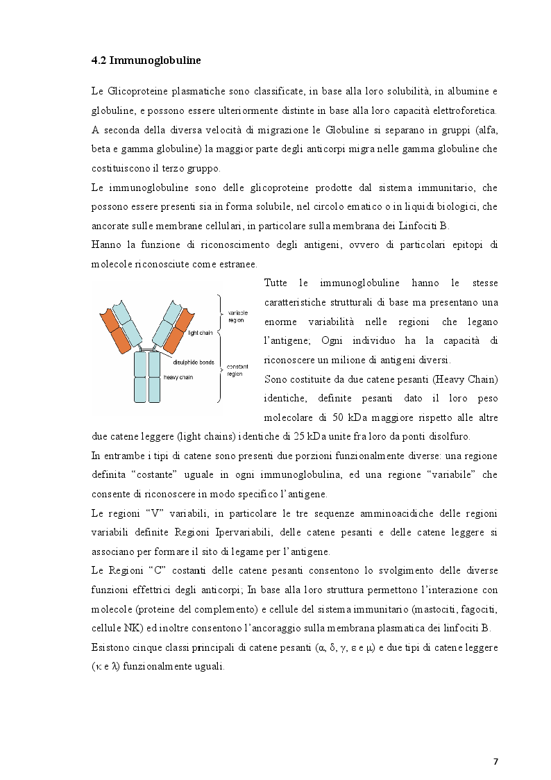 Estratto dalla tesi: La sintesi intratecale di IgG nel liquor: tecniche di rivelazione ed identificazione.