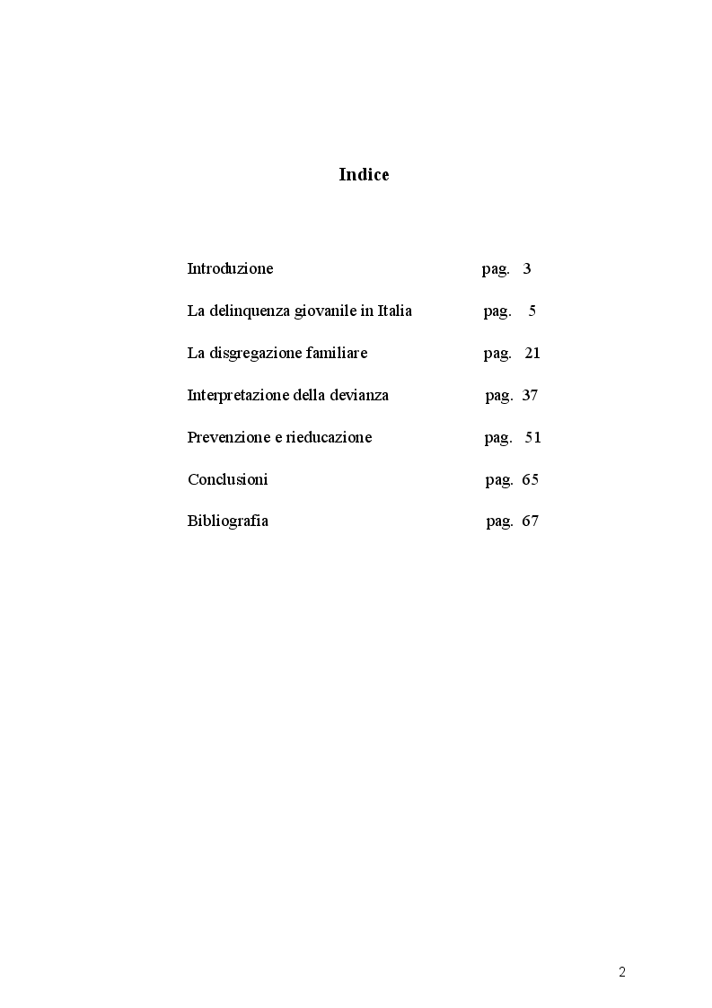 Indice della tesi: Interpretazione della devianza minorile e prevenzione, Pagina 1