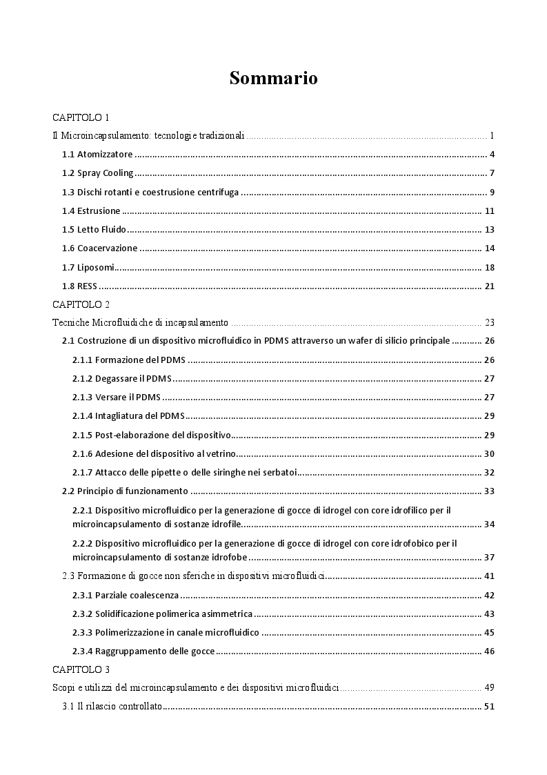 Indice della tesi: Applicazione della microfluidica per l'incapsulamento nel settore alimentare, Pagina 1
