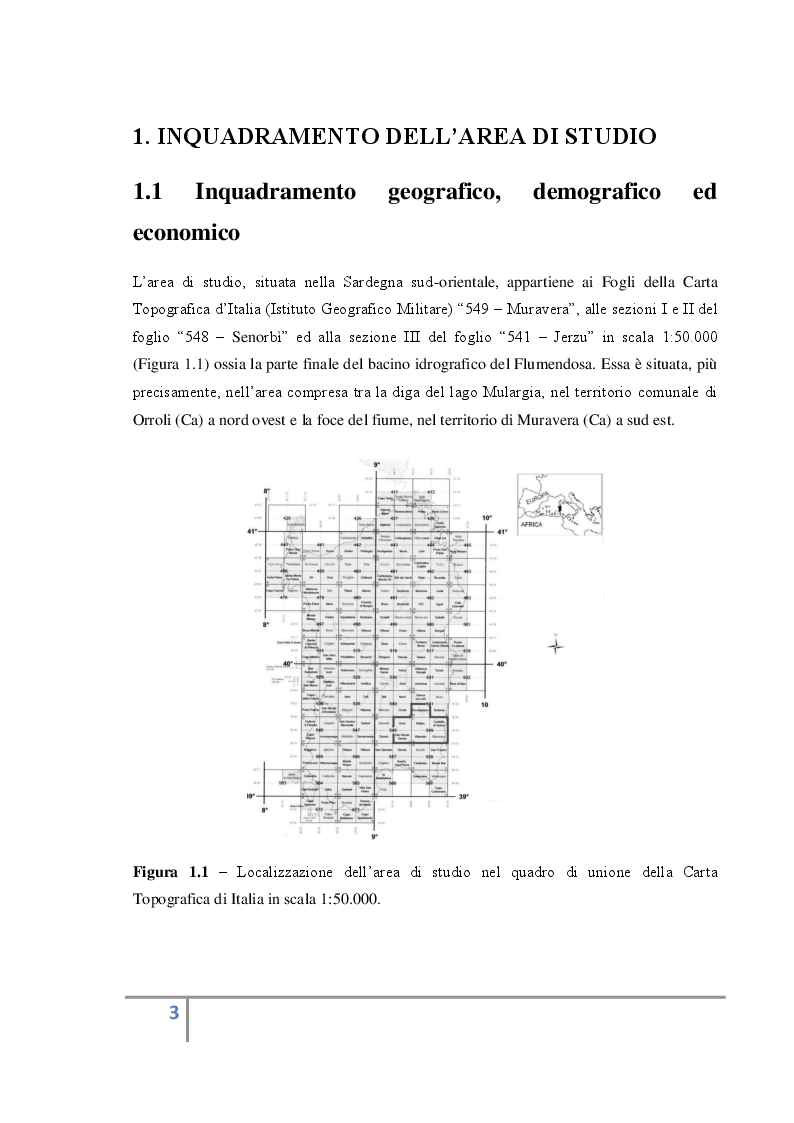 Anteprima della tesi: Analisi territoriale e valorizzazione delle risorse ambientali e culturali dell’area del bacino del basso Flumendosa., Pagina 4