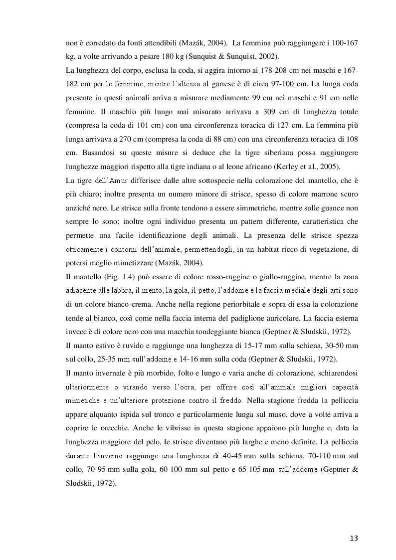Estratto dalla tesi: Analisi e confronto di parametri etologici ed endocrini in esemplari di tigre siberiana (Panthera tigris altaica) mantenuti in ambiente controllato, in diverse condizioni gestionali