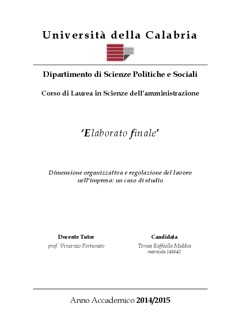Anteprima della tesi: Dimensione organizzativa e regolazione del lavoro nell’impresa: un caso di studio, Pagina 1