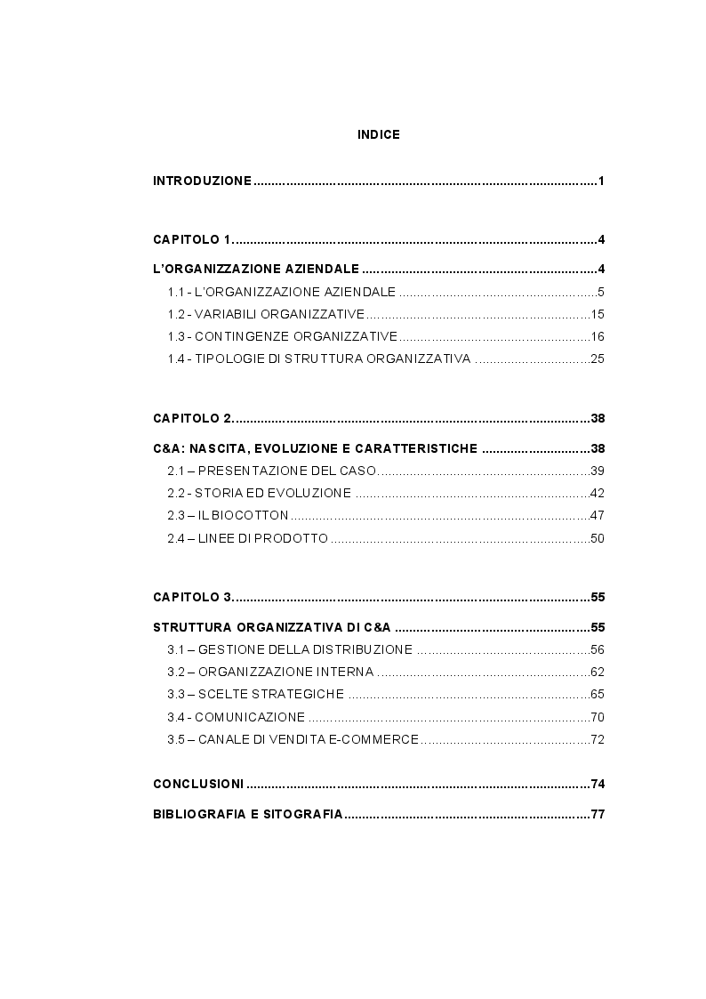 Indice della tesi: Strategia e Organizzazione di un'azienda d'abbigliamento. Il caso C&A e il BioCotton, Pagina 1