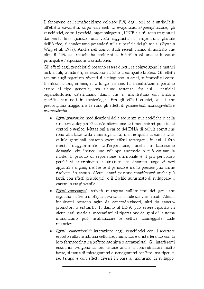 Estratto dalla tesi: Test di genotossicità in Vicia Faba su sedimenti dei torrenti nella Valdinievole