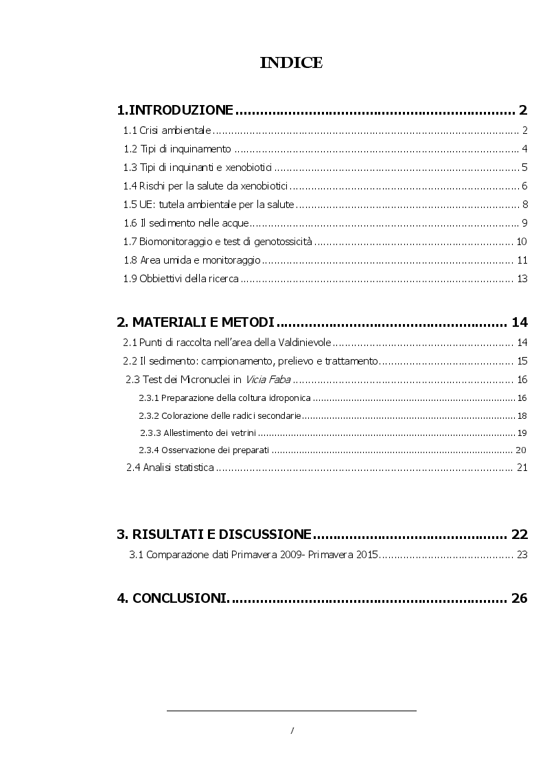 Indice della tesi: Test di genotossicità in Vicia Faba su sedimenti dei torrenti nella Valdinievole, Pagina 1