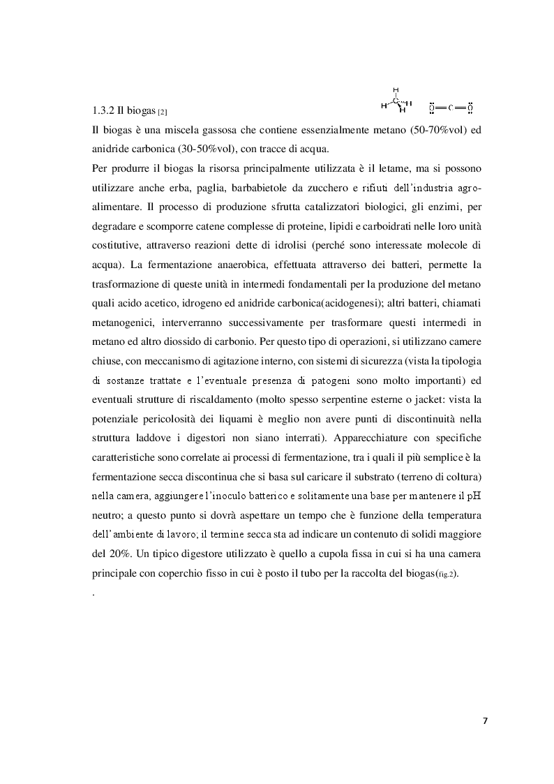 Estratto dalla tesi: Produzione di biodiesel da microalghe