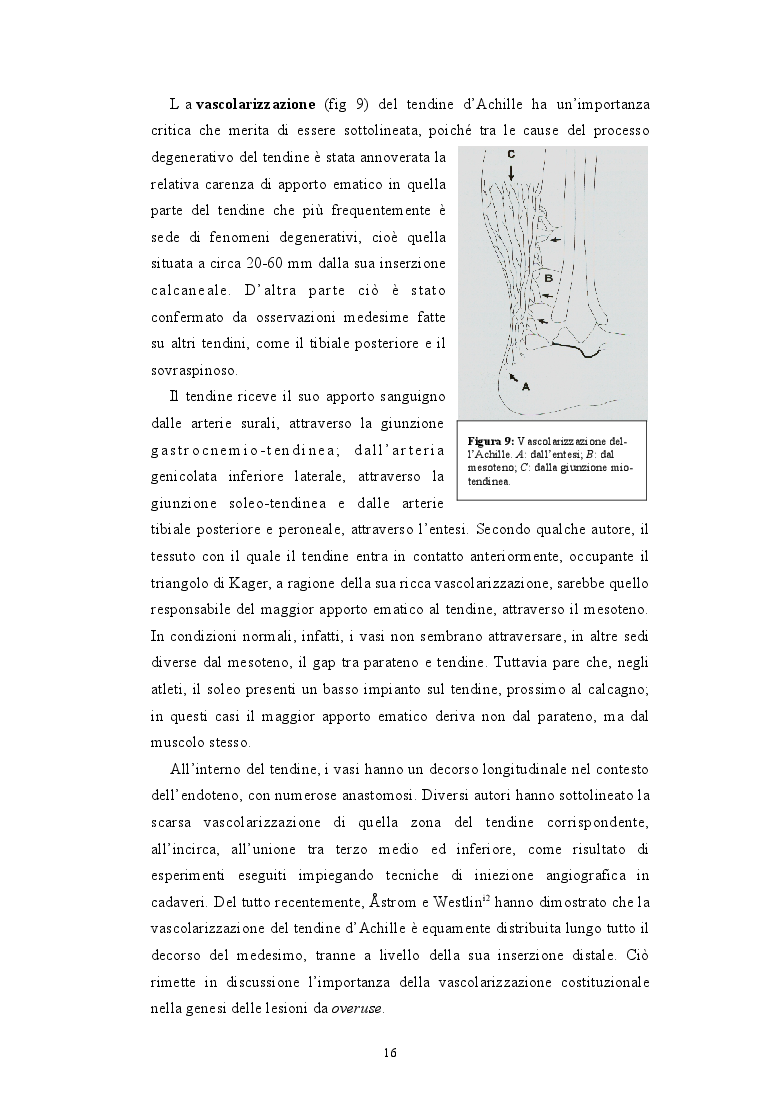 Estratto dalla tesi: Ricostruzione delle perdite di sostanza post-operatorie della regione achillea mediante lembi liberi microvascolari