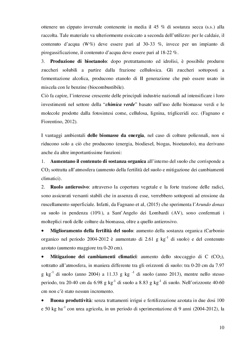 Estratto dalla tesi: Accrescimento ipogeo ed epigeo di Arundo donax L. in ambienti marginali del Sud Italia