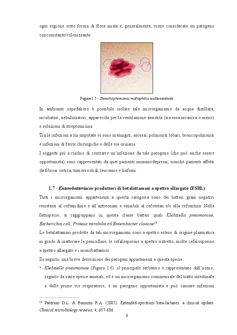 Estratto dalla tesi: Il ruolo dell'infermiere nella gestione delle infezioni da germi multiresistenti