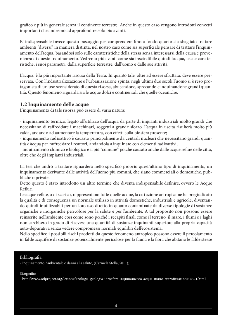 Estratto dalla tesi: L'Inquinamento delle Acque Reflue - Il Fiume Tevere