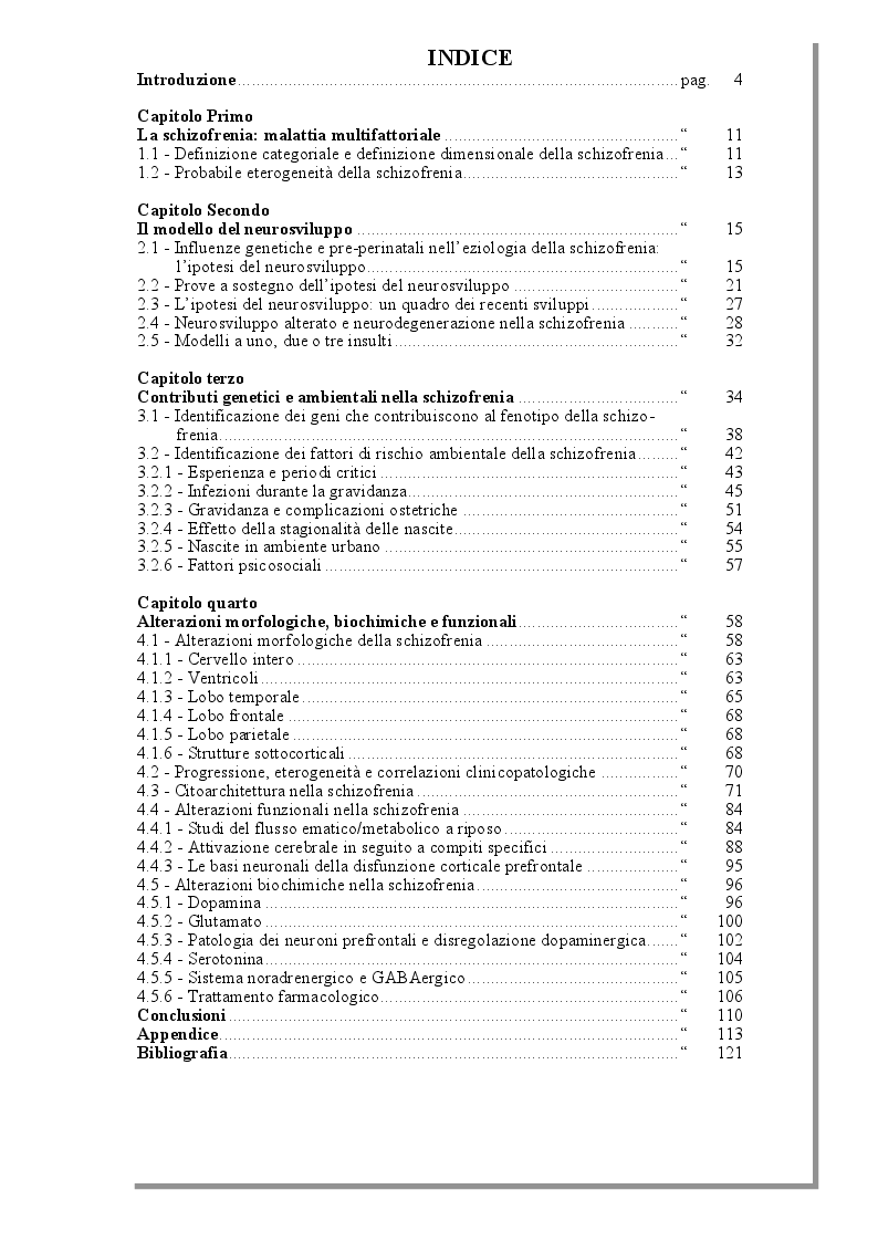 Indice della tesi: Approccio integrato alla schizofrenia: l'ipotesi del neurosviluppo , Pagina 1