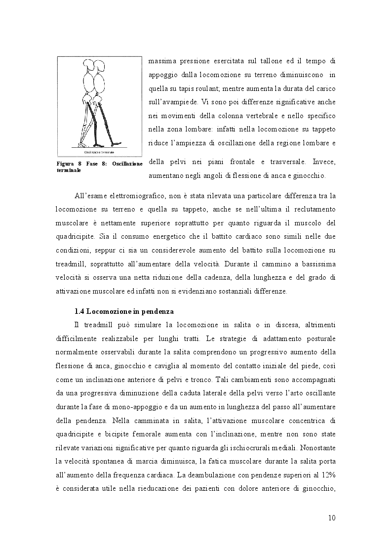 Estratto dalla tesi: Il Walking: Metodi e Tecniche per una corretta camminata