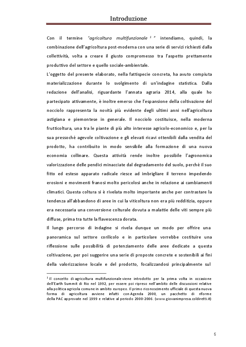 Anteprima della tesi: La valorizzazione del nocciolo. Nuove sfide per il nostro territorio, Pagina 3