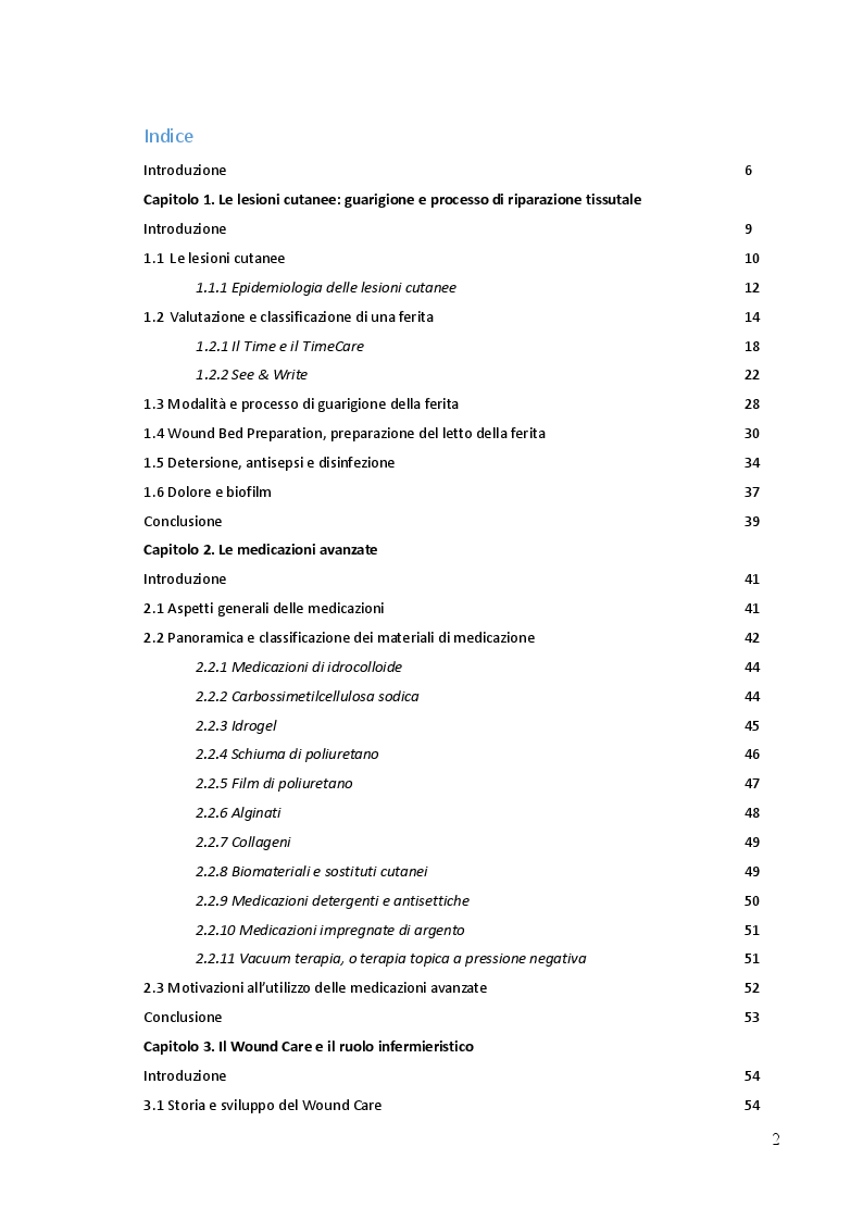 Indice della tesi: Wound care: responsabilità professionale e revisione critica sull utilizzo del miele nella cura delle ferite croniche, Pagina 1
