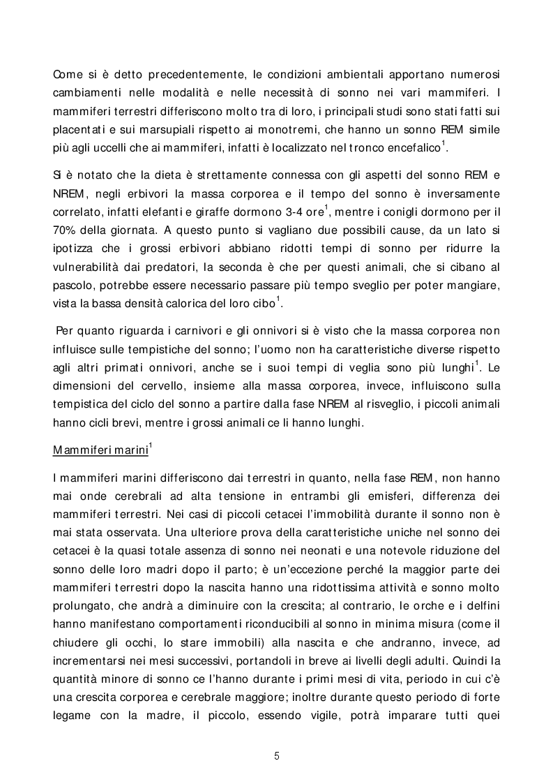 Estratto dalla tesi: Breve studio sul sonno: dalla neurofisiologia all'ambiente