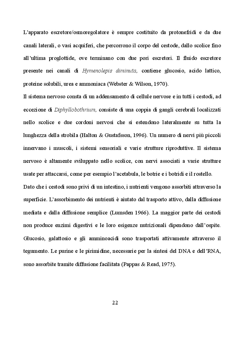 Estratto dalla tesi: Strategie adattative al parassitismo nei cestodi