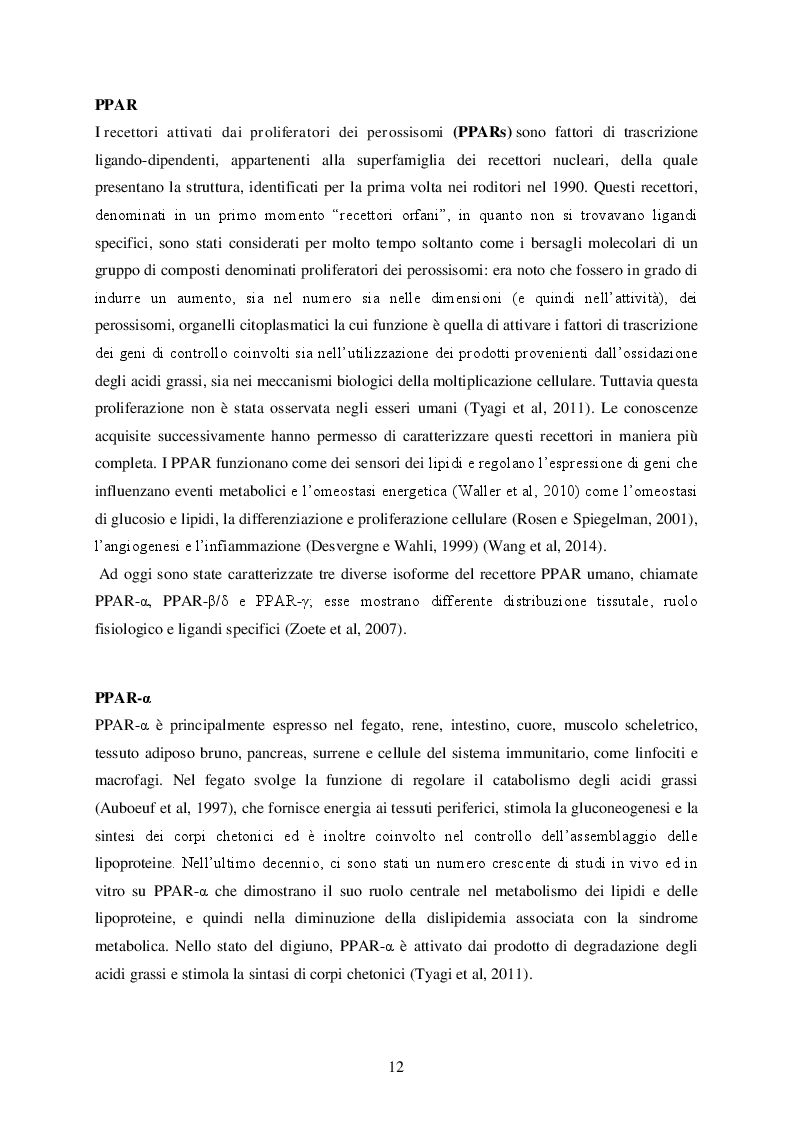 Estratto dalla tesi: Studio computazionale delle interazioni fra il sistema PPAR e molecole di interesse alimentare