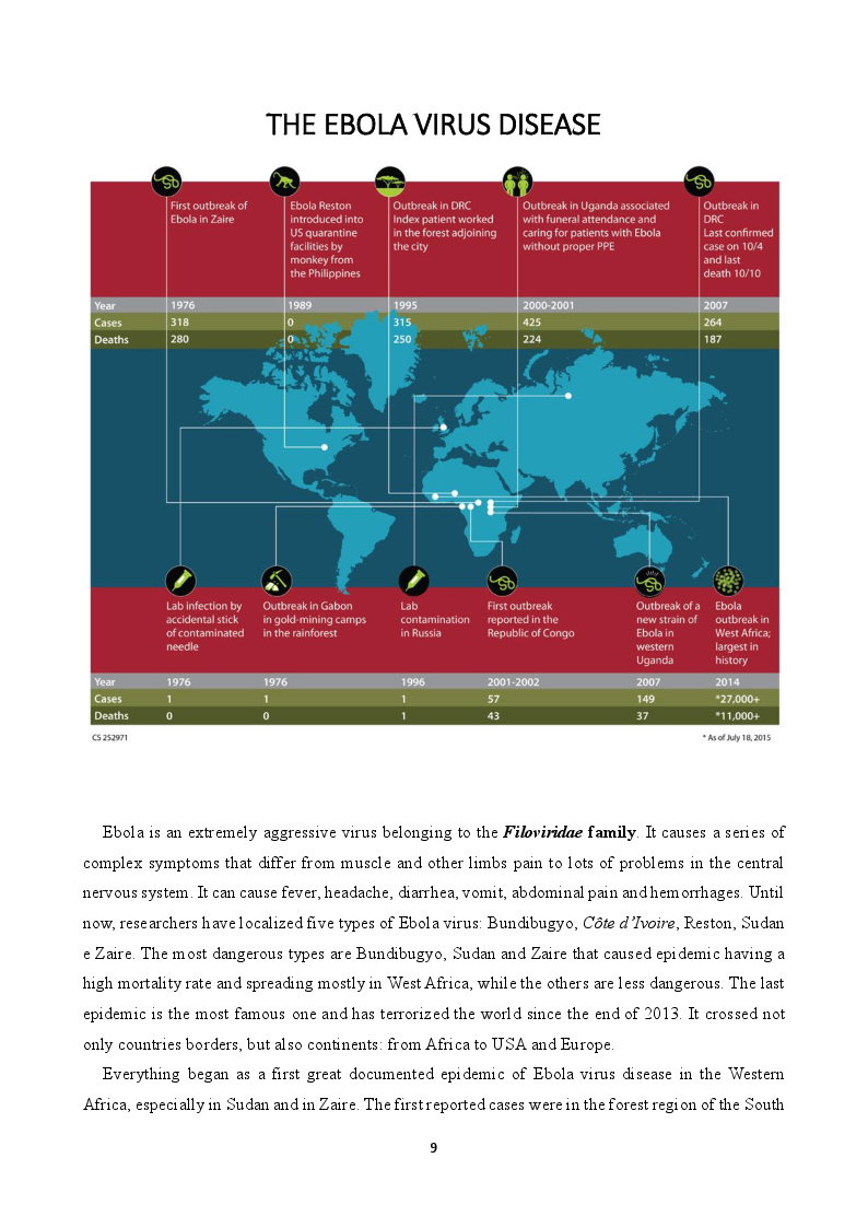Anteprima della tesi: EVD - The Ebola Virus Disease, una traduzione medica, Pagina 5