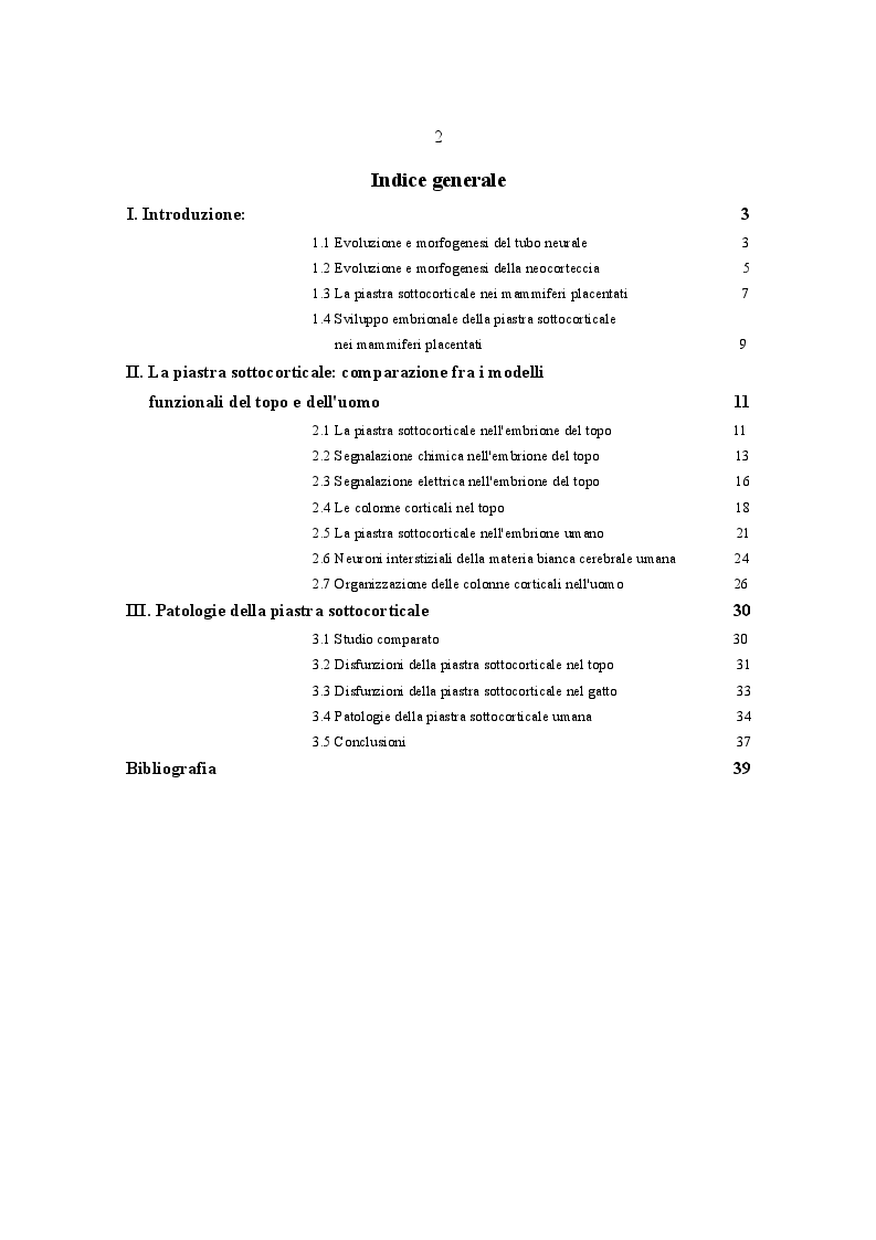 Indice della tesi: Sviluppo e Differenziamento della Piastra Sottocorticale, Pagina 1