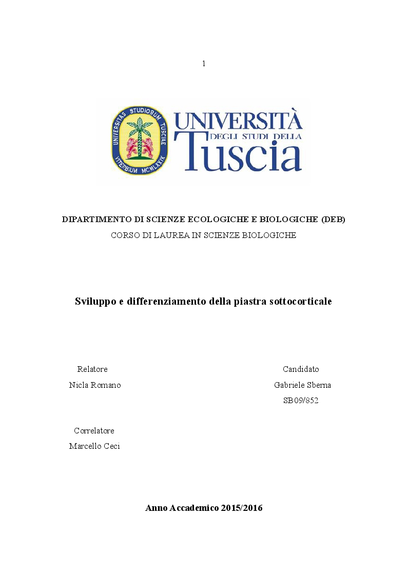 Anteprima della tesi: Sviluppo e Differenziamento della Piastra Sottocorticale, Pagina 1