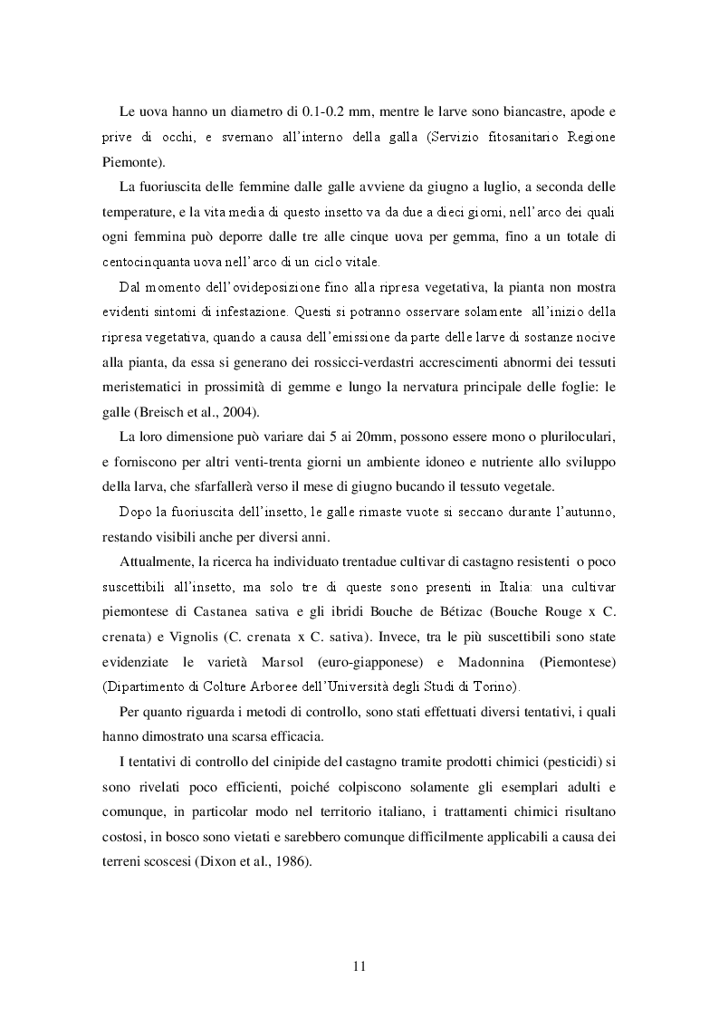 Estratto dalla tesi: Lotta biologica al cinipide del castagno in Veneto: metodi di allevamento di Torymus sinensis e verifica della parassitizzazione