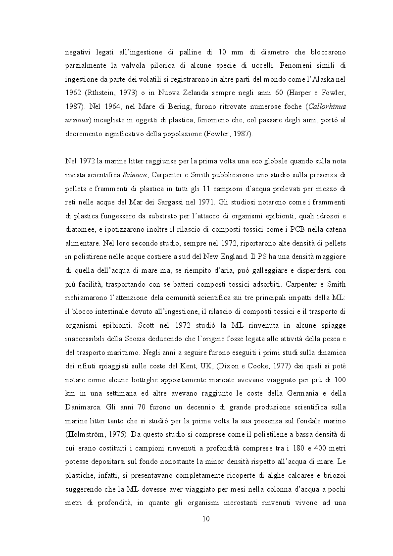 Estratto dalla tesi: Marine Strategy: Descrittore 10 - Rifiuti Marini. Quantificazione di microplastiche nella specie sentinella Mullus barbatus