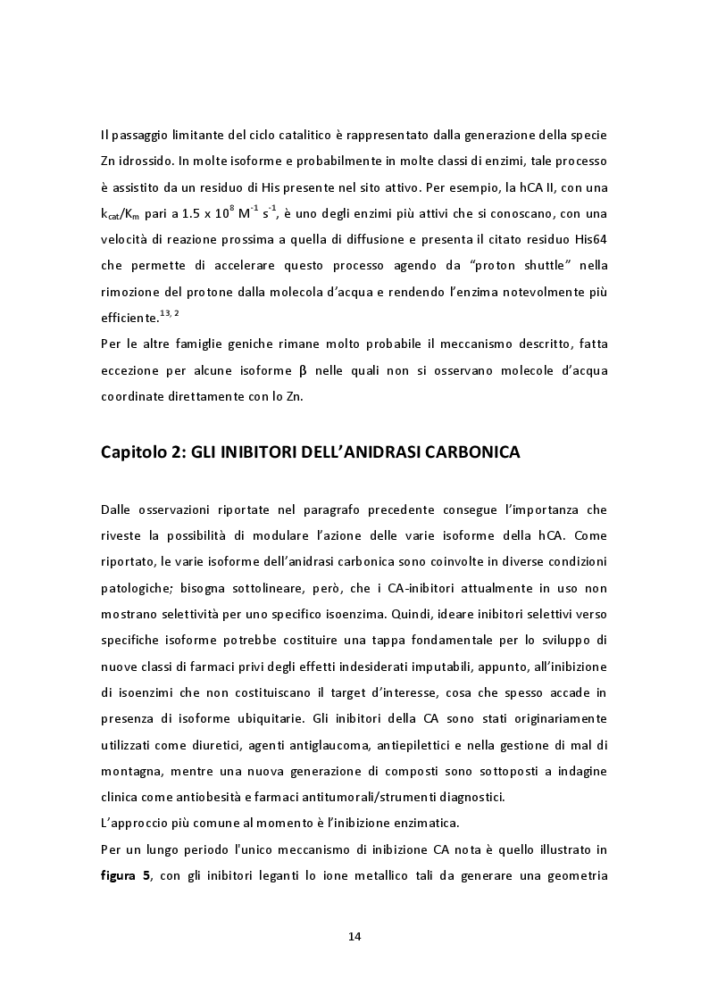 Estratto dalla tesi: Impatto della stereochimica sull’inibizione dell’Anidrasi Carbonica da parte di nuovi derivati del Probenecid