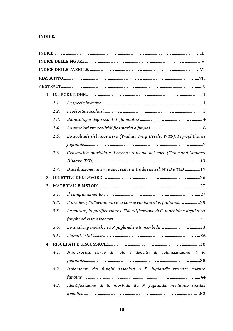 Indice della tesi: Ruolo di Pityophthorus juglandis (Coleoptera, Curculionidae) nei meccanismi di diffusione del fungo fitopatogeno Geosmithia morbida, Pagina 1
