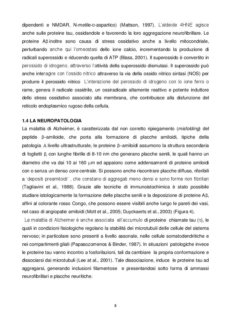 Estratto dalla tesi: Approcci terapeutici innovativi per la cura della malattia di Alzheimer