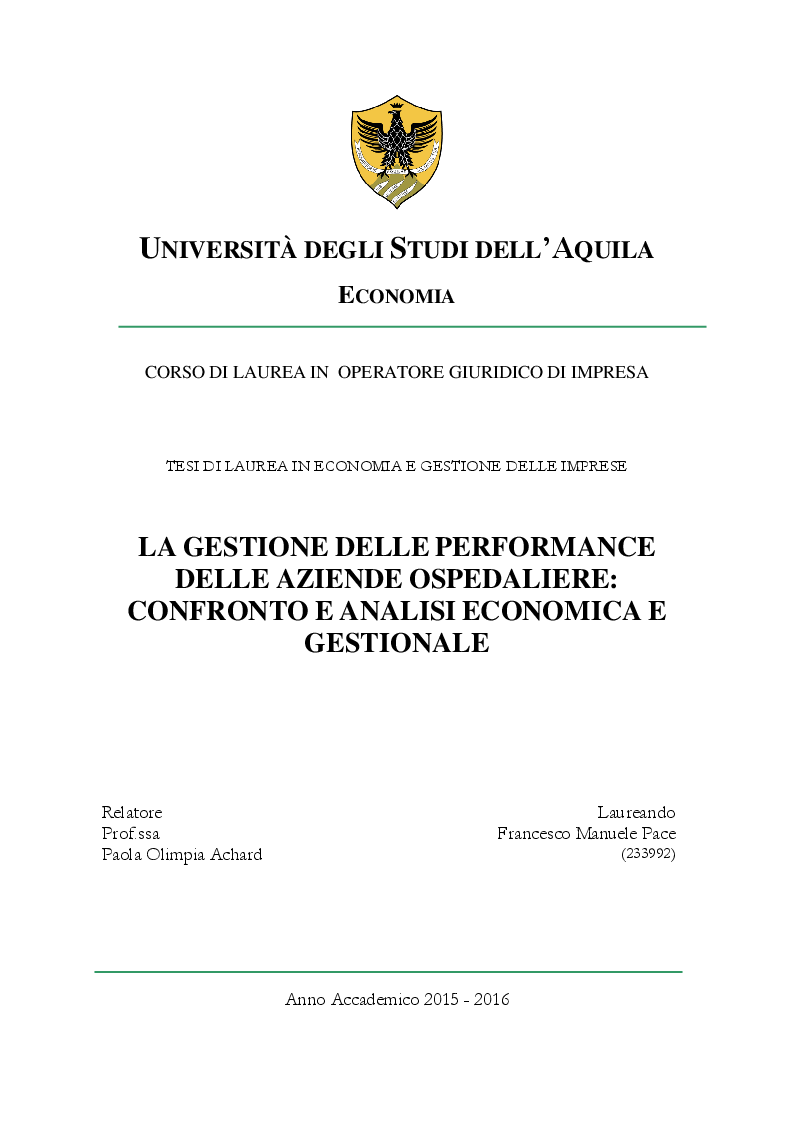 Anteprima della tesi: La Gestione delle Performance delle Aziende Ospedaliere: Confronto e Analisi Economica e Gestionale, Pagina 1